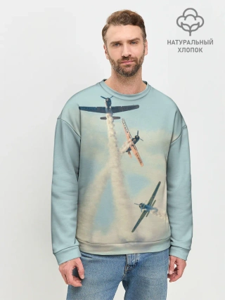 Мужской свитшот базовый / Planes