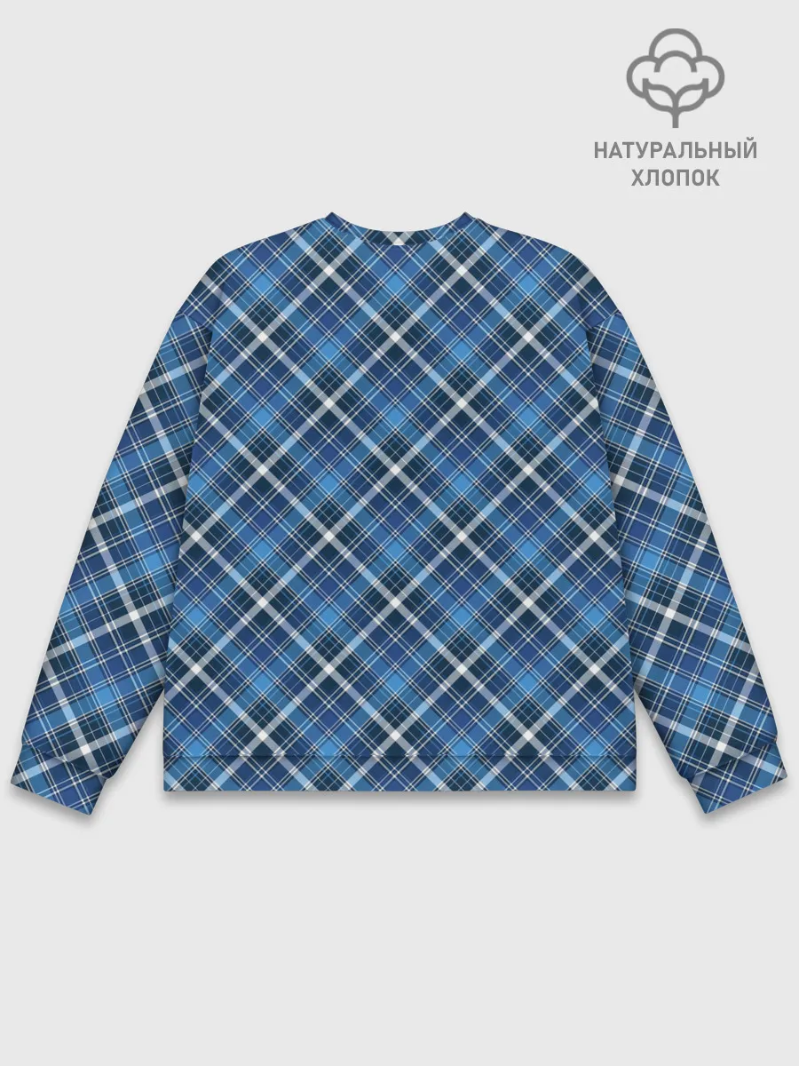 Мужской свитшот базовый / Текстура в клетку