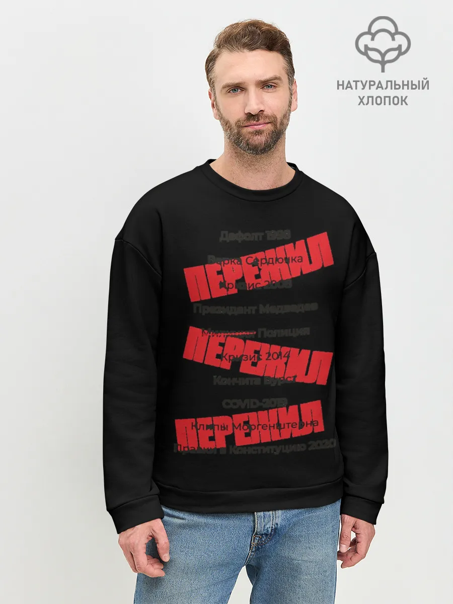 Мужской свитшот базовый / Пережил все кризисы