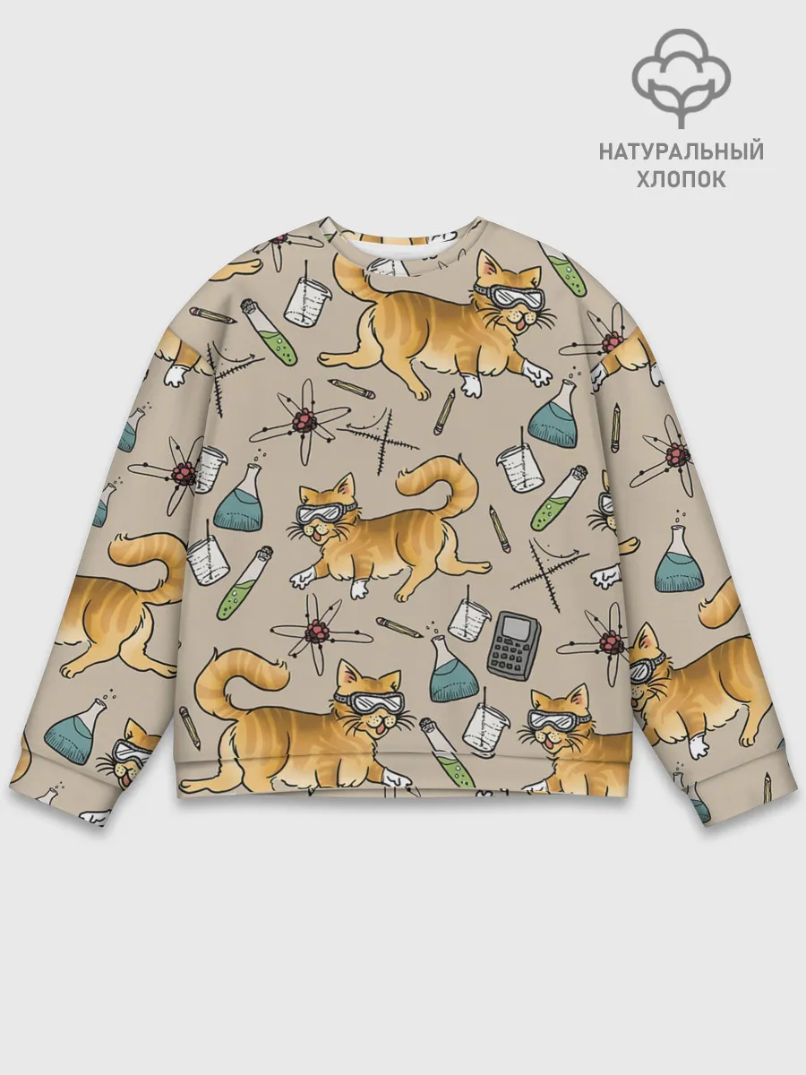 Мужской свитшот базовый / Котики и колбы
