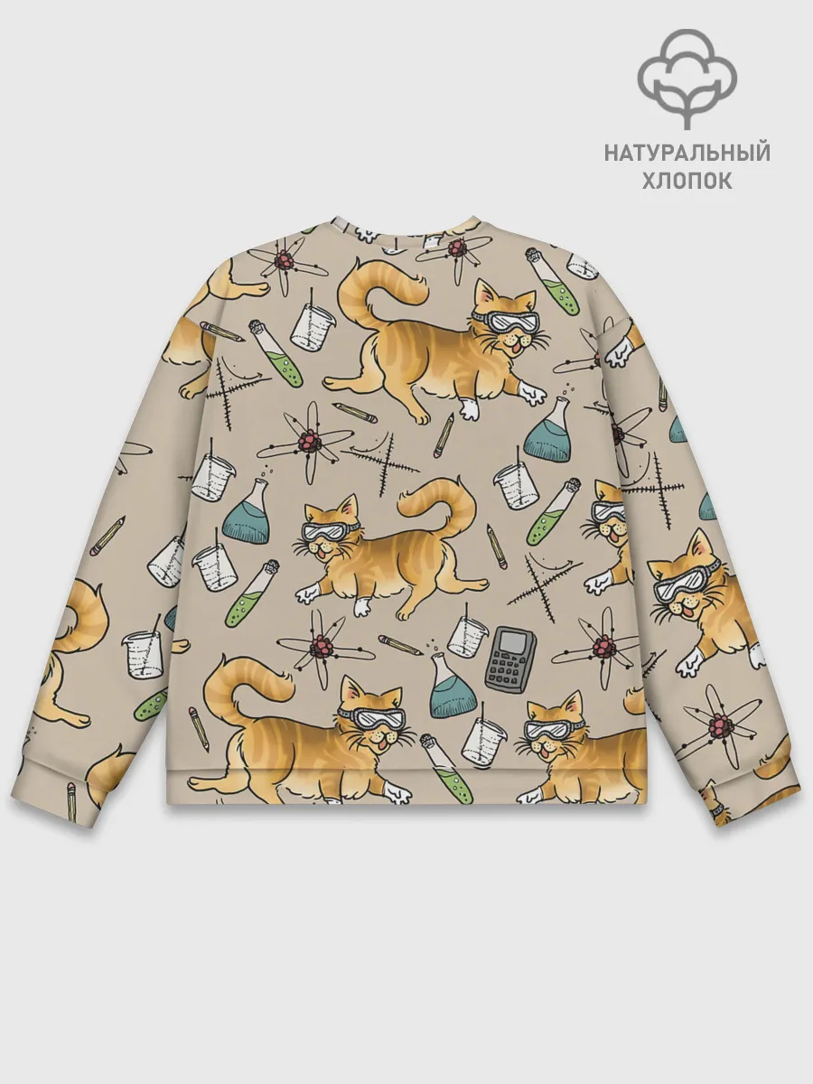 Мужской свитшот базовый / Котики и колбы