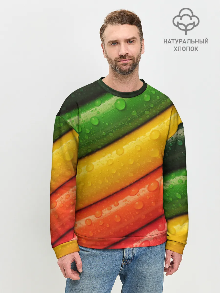 Мужской свитшот базовый / Цветные линии