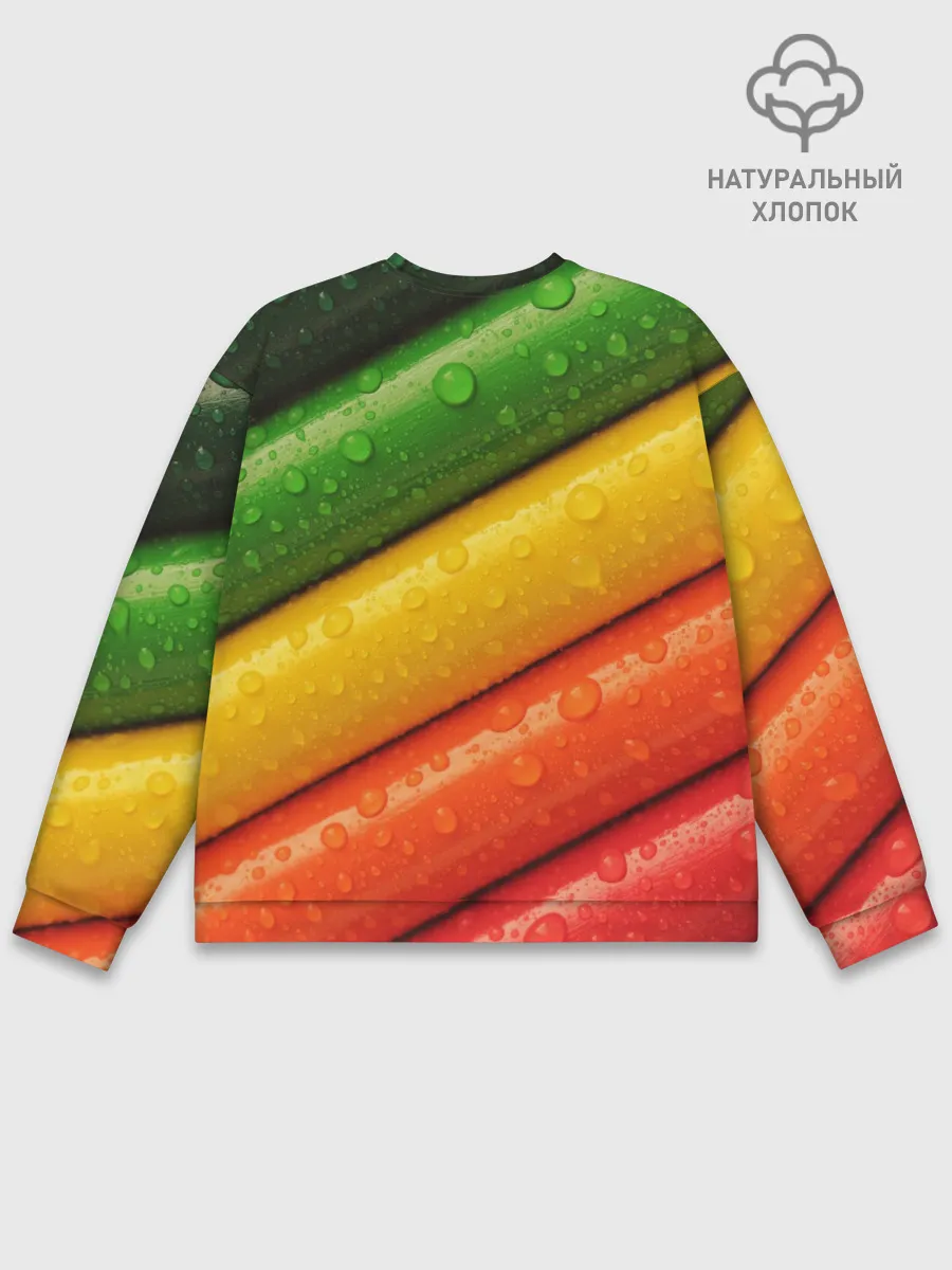 Мужской свитшот базовый / Цветные линии