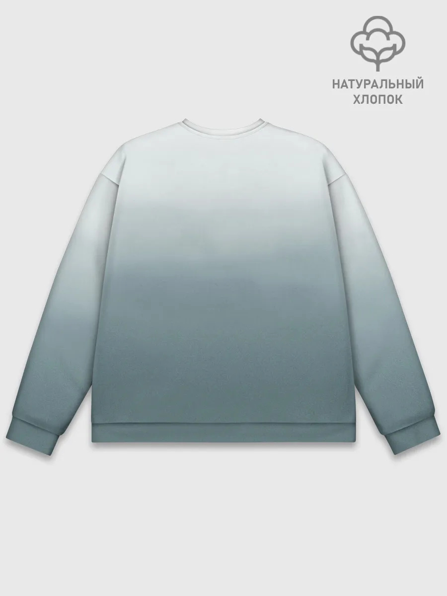 Мужской свитшот базовый / Crow