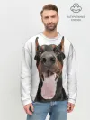 Мужской свитшот базовый / Доберман / Doberman