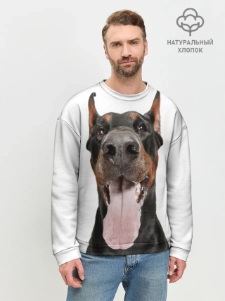 Мужской свитшот базовый / Доберман / Doberman