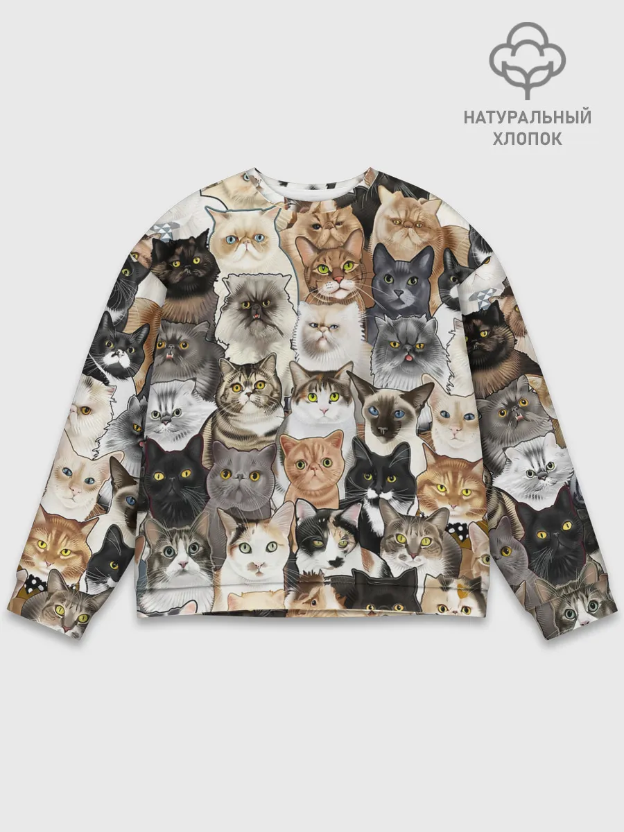 Мужской свитшот базовый / Котики смешные