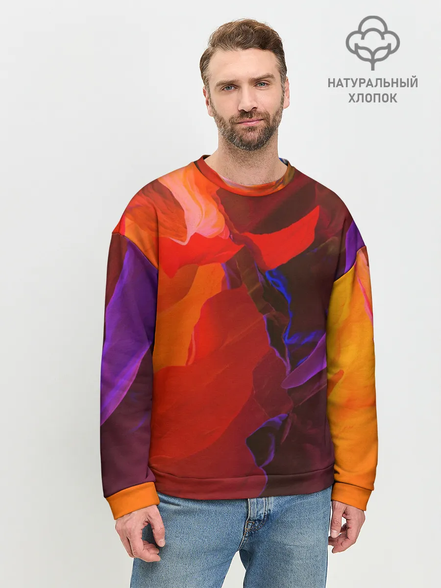 Мужской свитшот базовый / Горная абстракция