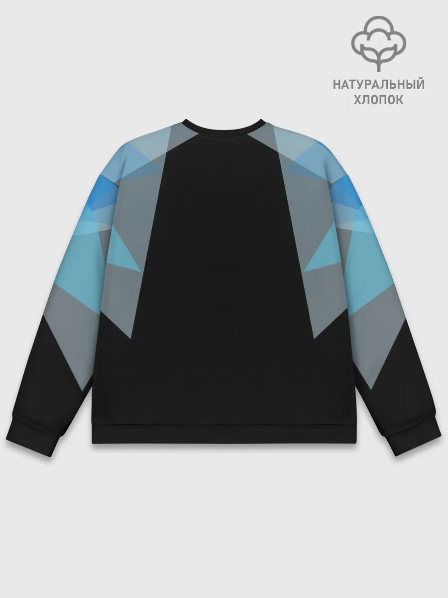 Мужской свитшот базовый / Геометрия
