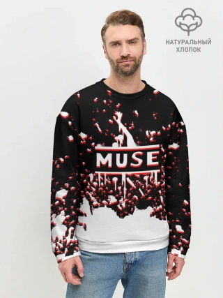 Мужской свитшот базовый / muse.