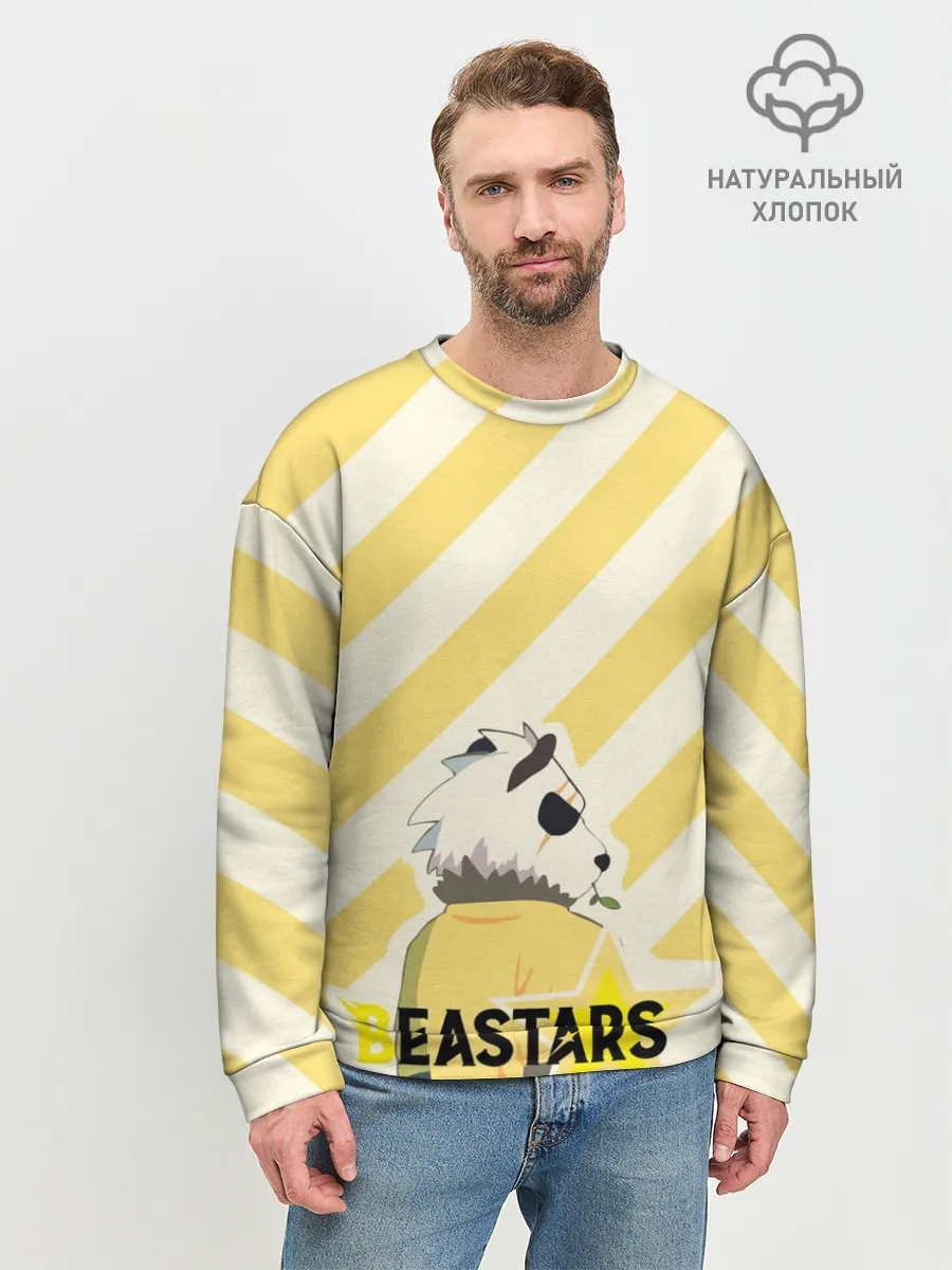 Мужской свитшот базовый / Гоухин beastars