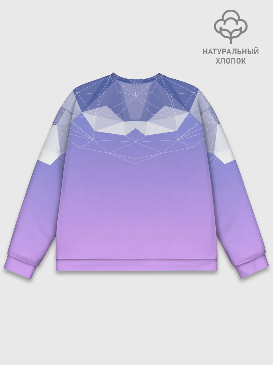 Мужской свитшот базовый / Геометрия