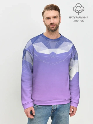 Мужской свитшот базовый / Геометрия