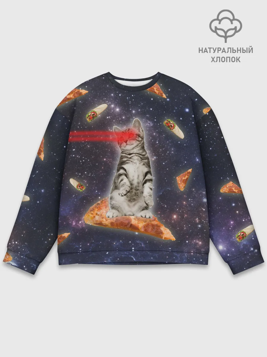 Мужской свитшот базовый / Котик в космосе