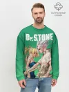Мужской свитшот базовый / Dr. Stone
