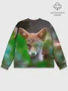 Мужской свитшот базовый / Лисичка