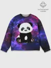 Мужской свитшот базовый / Space Panda