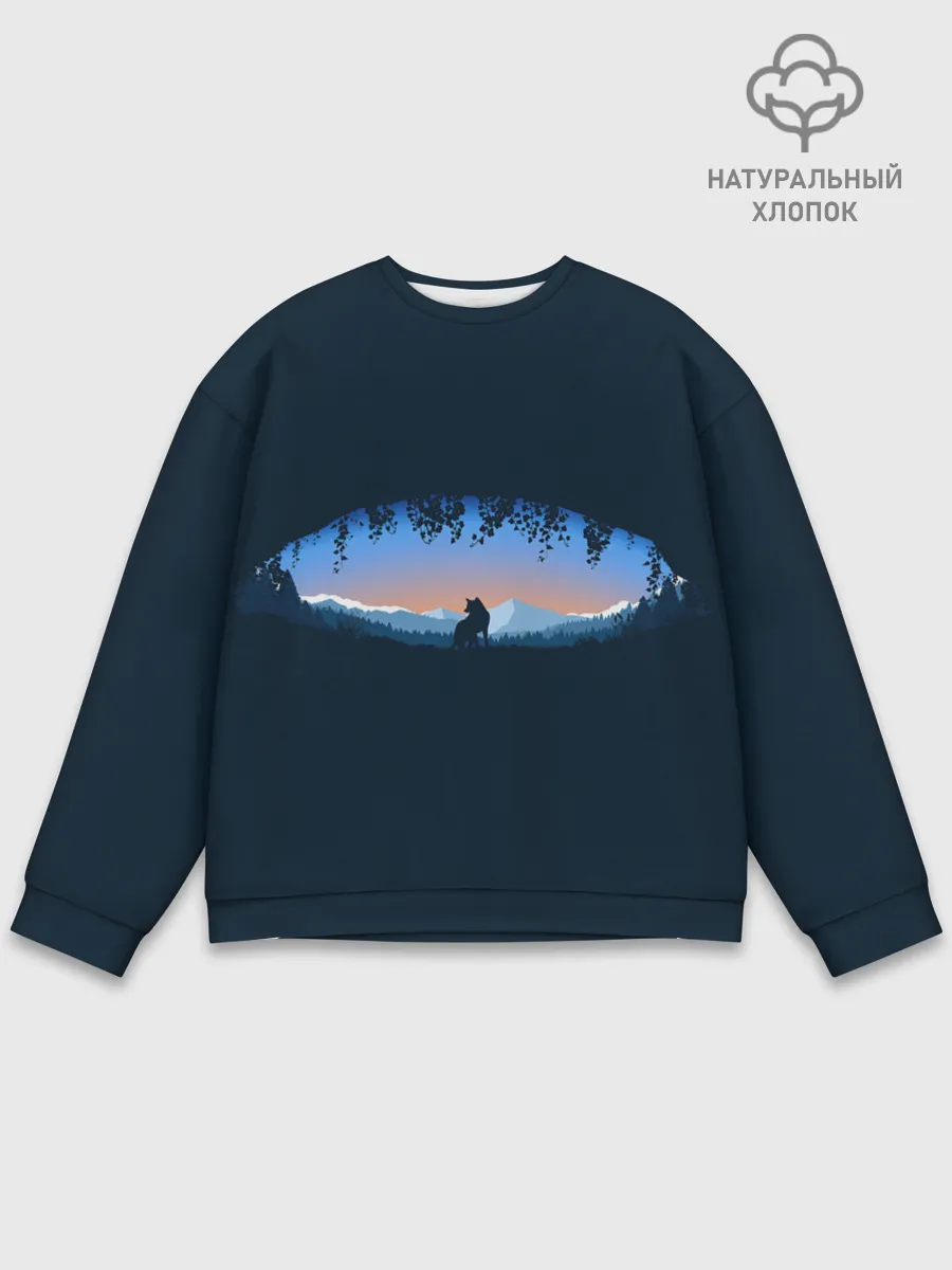 Мужской свитшот базовый / Глаз природы