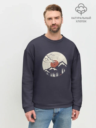 Мужской свитшот базовый / Mountain. Vinyl Record