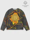 Мужской свитшот базовый / Вулканический Биткоин