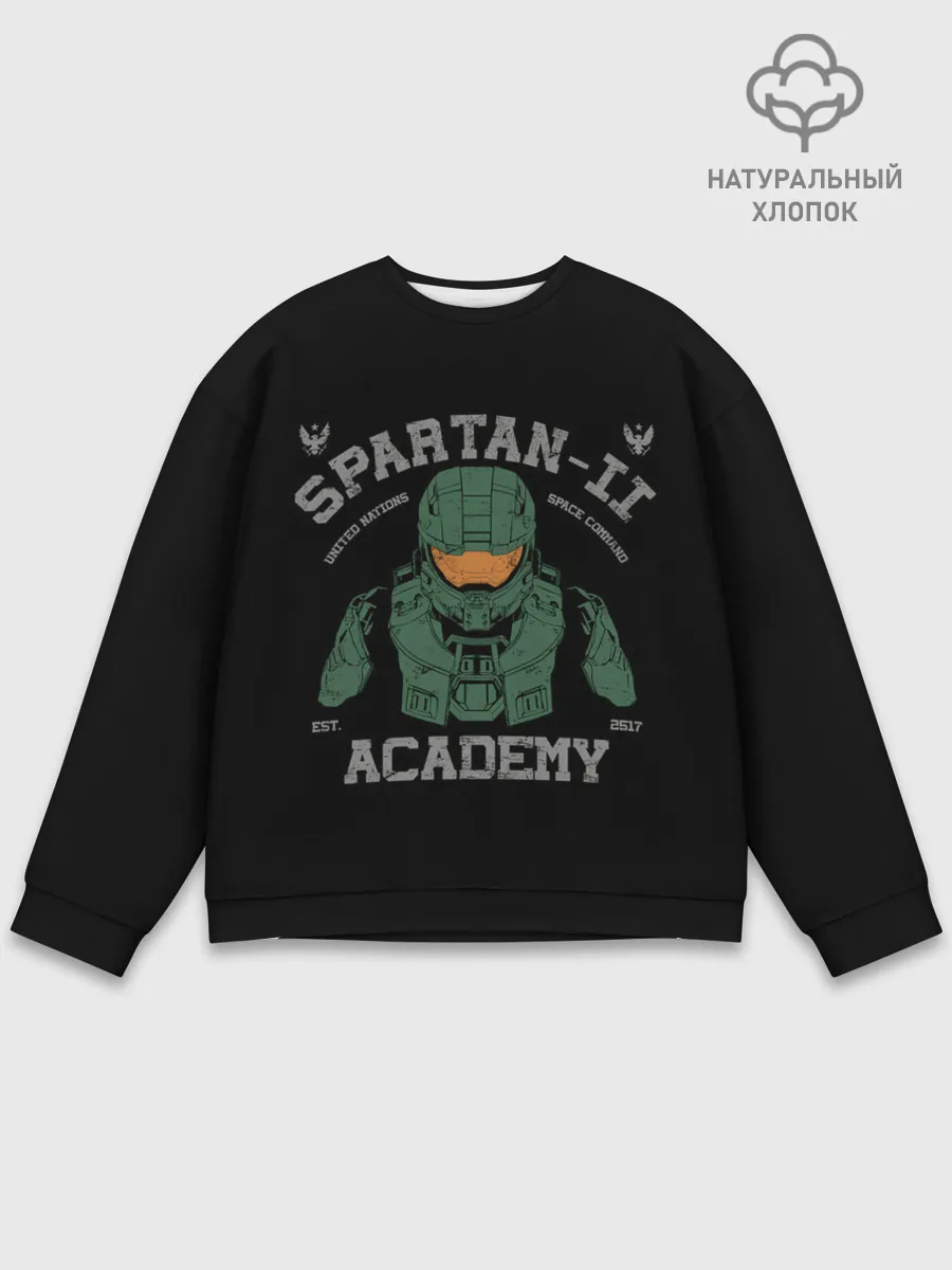 Мужской свитшот базовый / Spartan - 2 Academy