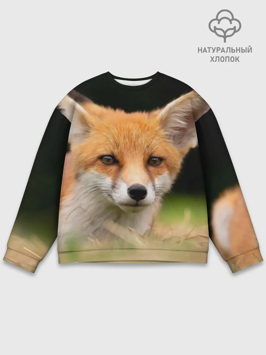 Мужской свитшот базовый / Мордочка лисицы