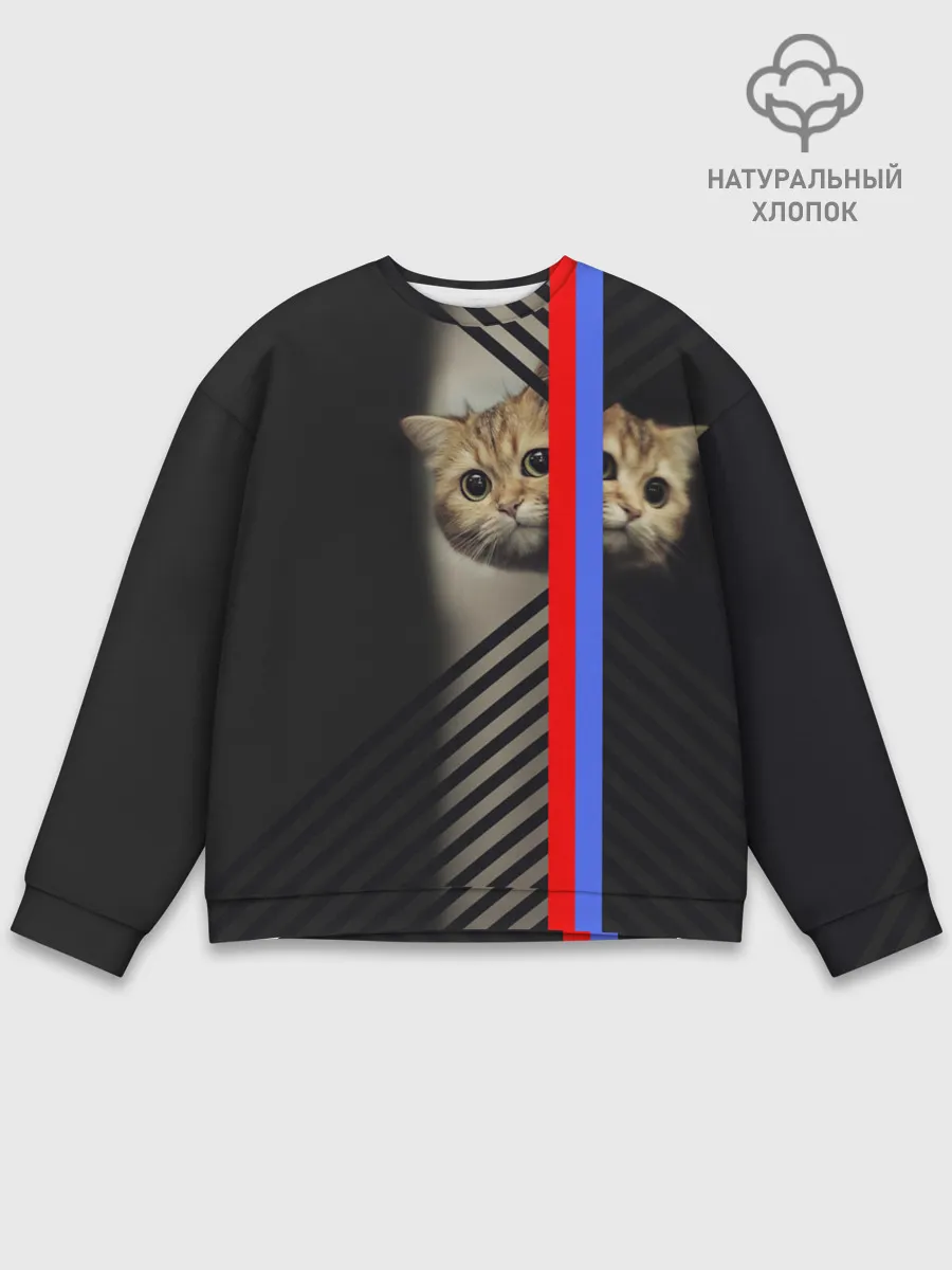 Мужской свитшот базовый / Кот