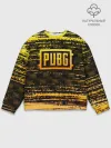 Мужской свитшот базовый / PUBG / ПАБГ