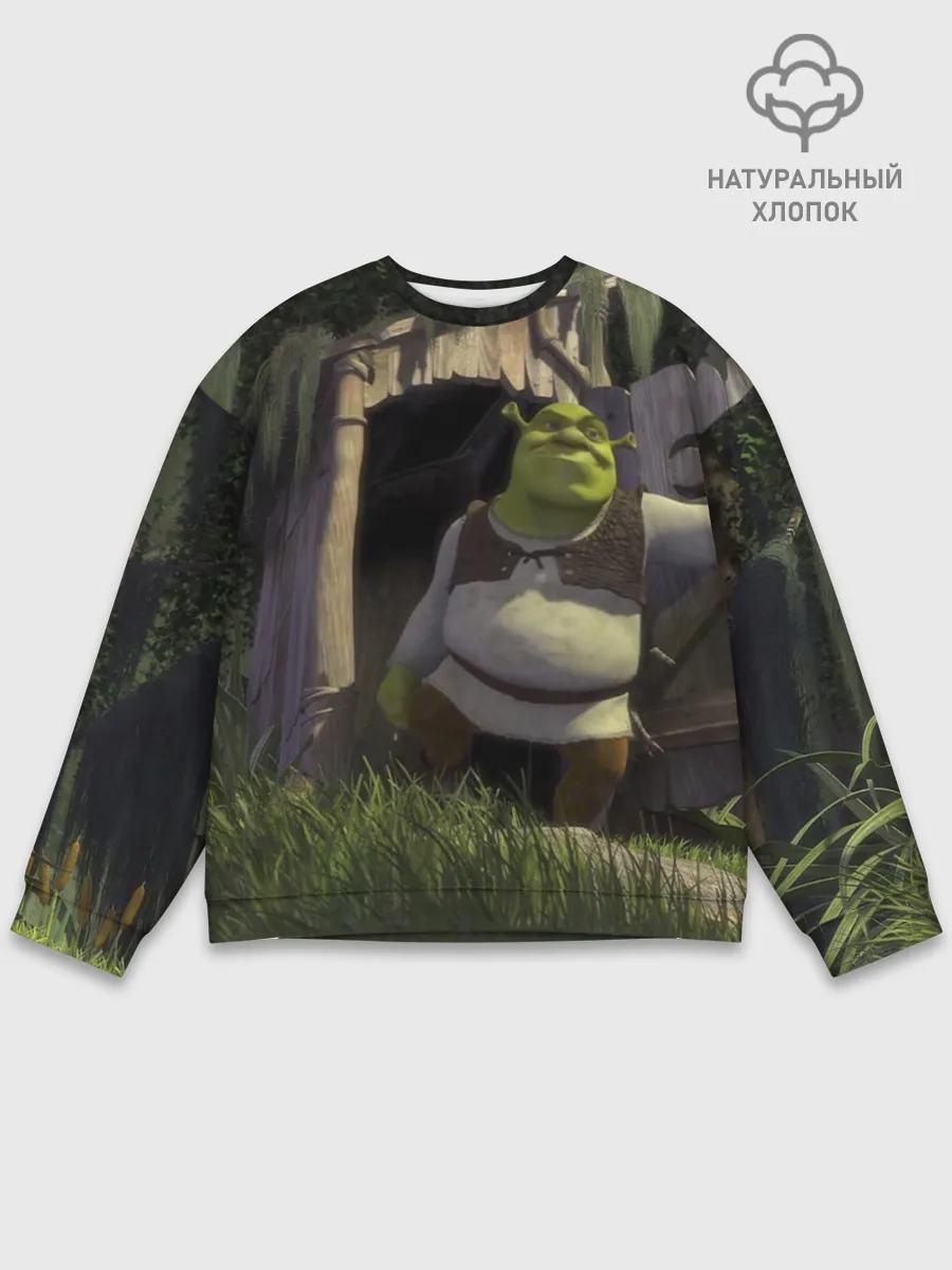 Мужской свитшот базовый / Somebody Once Told Me