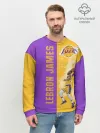 Мужской свитшот базовый / Леброн NBA