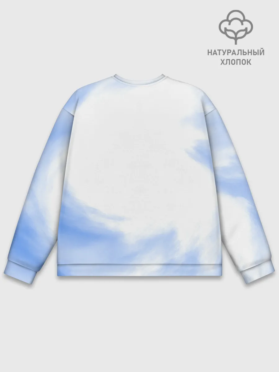 Мужской свитшот базовый / Танджиро и Незуко Камадо