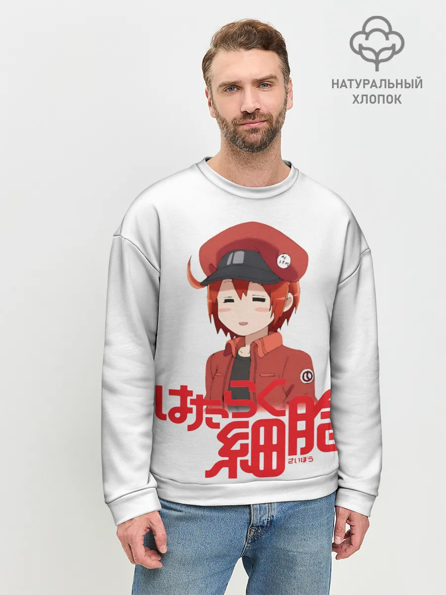 Мужской свитшот базовый / Sekkekkyuu