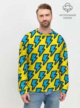 Мужской свитшот базовый / Молнии