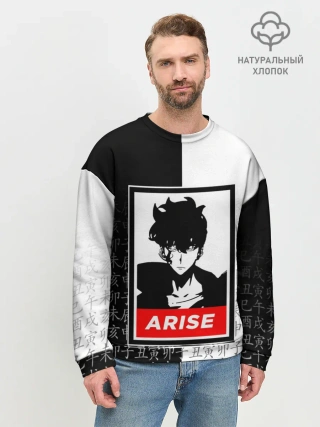 Мужской свитшот базовый / СОН ДЖИН ВУ / SOLO LEVELING