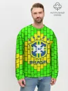 Мужской свитшот базовый / Сборная Бразилии