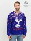 Мужской свитшот базовый / tottenham.