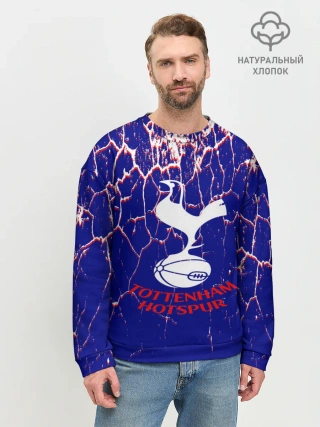 Мужской свитшот базовый / tottenham.