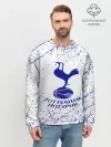 Мужской свитшот базовый / tottenham.