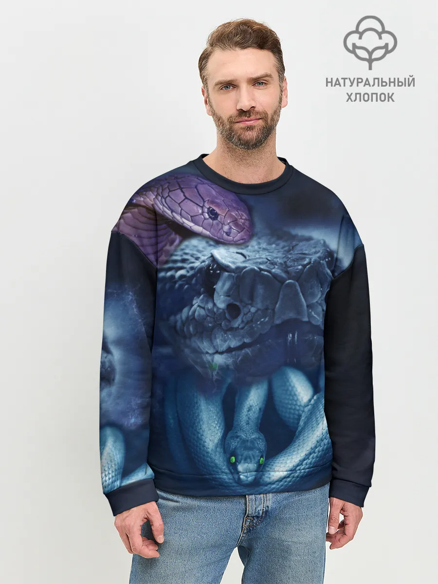 Мужской свитшот базовый / Мифические змеи