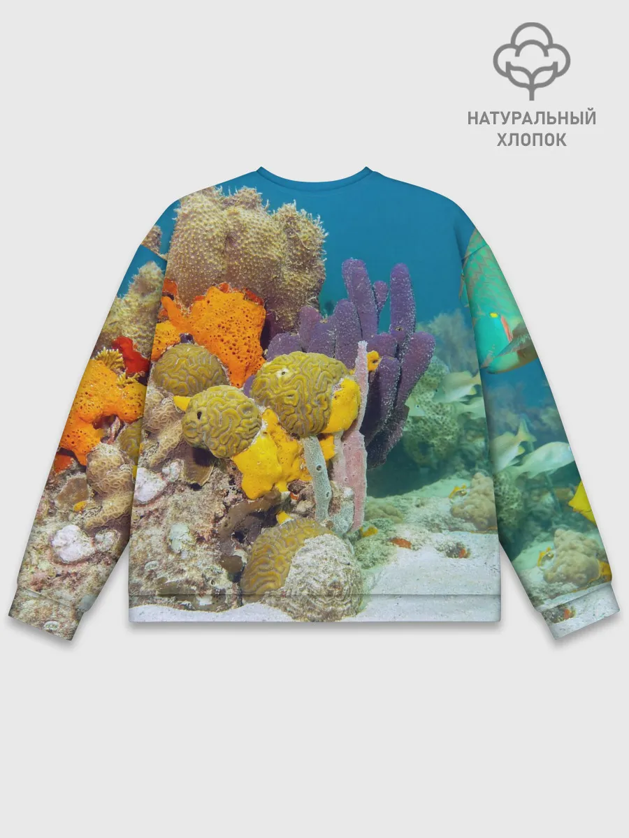 Мужской свитшот базовый / Морской мир