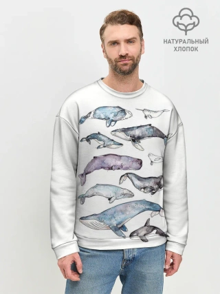 Мужской свитшот базовый / киты