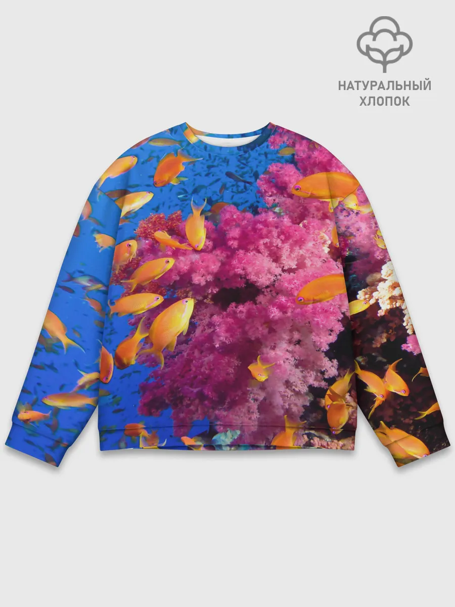 Мужской свитшот базовый / Коралловые рыбки