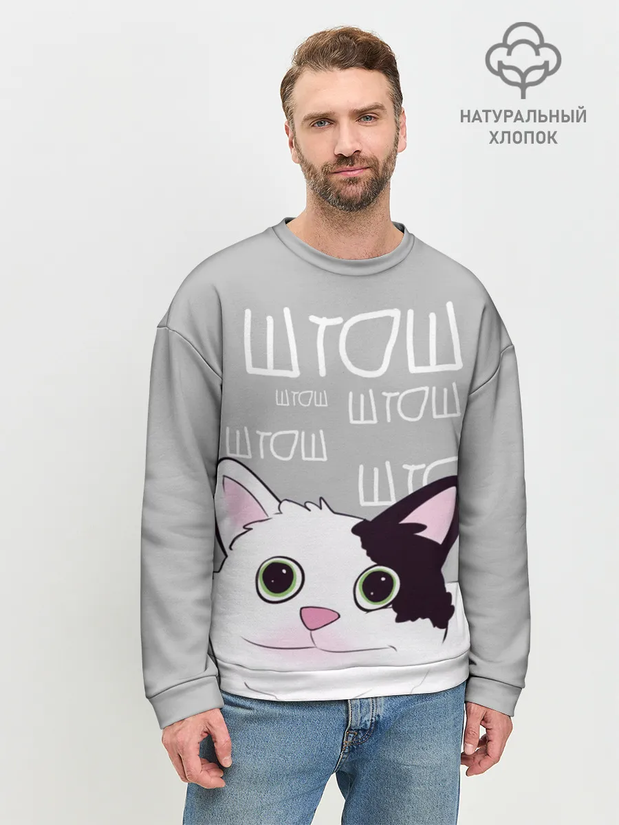 Мужской свитшот базовый / штош