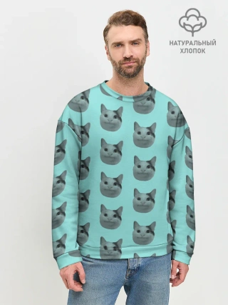 Мужской свитшот базовый / ШТОШ