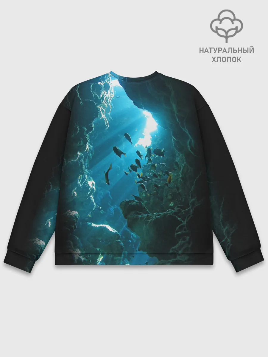 Мужской свитшот базовый / Коралловые рыбки