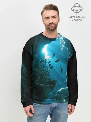 Мужской свитшот базовый / Коралловые рыбки