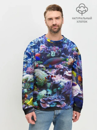 Мужской свитшот базовый / Коралловые рыбки