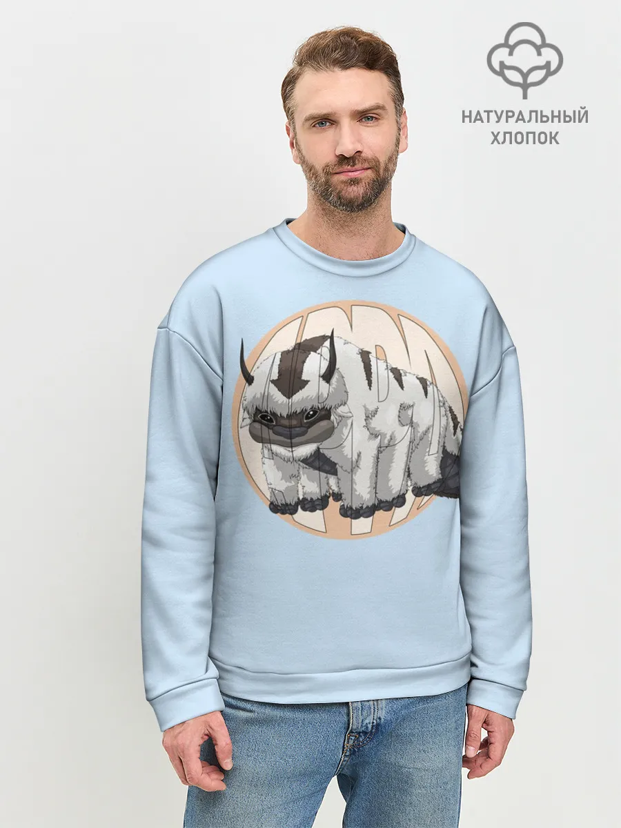 Мужской свитшот базовый / Appa