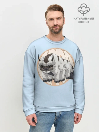 Мужской свитшот базовый / Appa