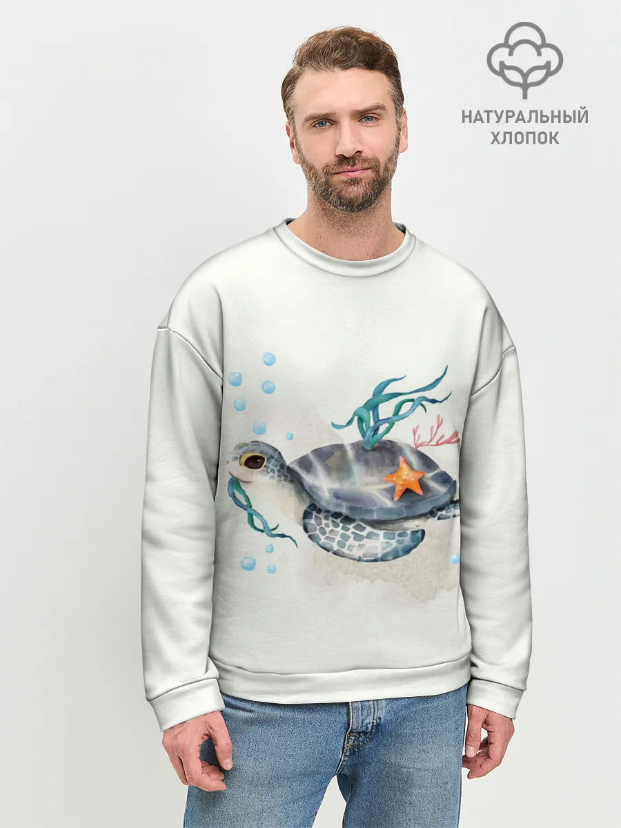 Мужской свитшот базовый / черепашка